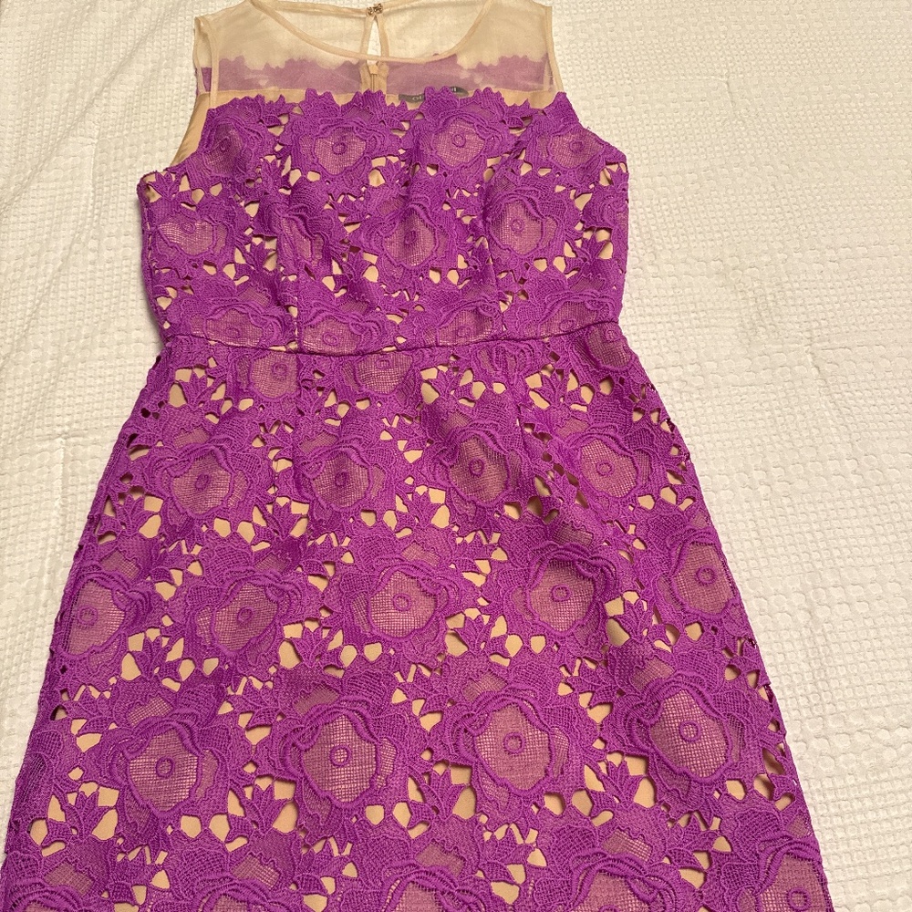 Gianni Bini Lace Dress Sz 4